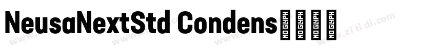 NeusaNextStd Condens字体转换